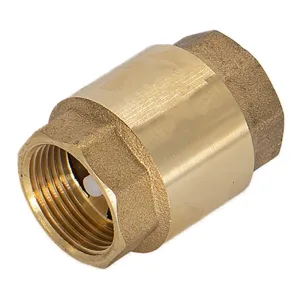 Клапан обратный 1″ CTM