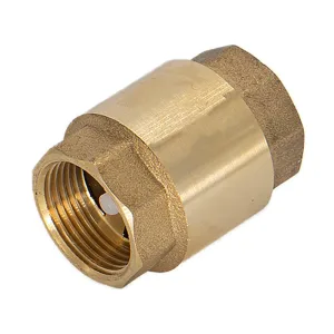 Клапан обратный 1/2″ CTM