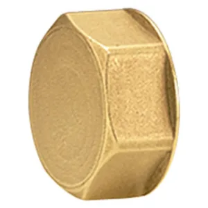 Пробка для коллектора Giacomini 1″, R594Y004
