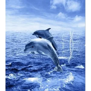 Шторка для ванной фотопринт «Дельфины» 180х200 без колец (PL), арт. Two dolphins