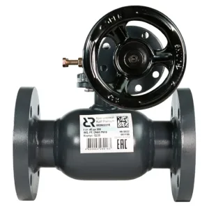 Кран шаровой стальной для воды РИДАН RJIP FF DN65 PN25 WG