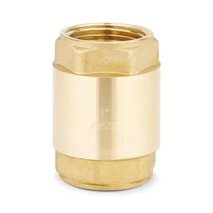 Клапан обратный VARMEGA с нейлоновым диском 1″ VM04603