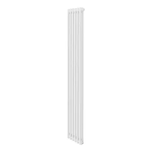 Дизайн-радиатор Royal Thermo Insignia VC2180 — 06 секц. RAL9016