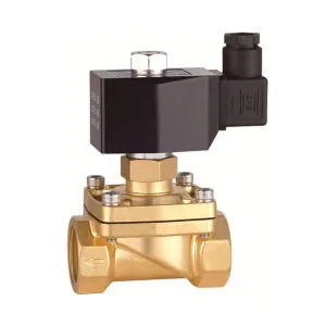 Клапан электромагнитный РИДАН EV252WR, G 1, EPDM, норм. закр., 0-10 бар, с катушкой 220В, 50 Гц